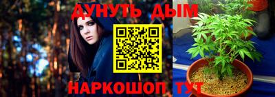сатива Кинель