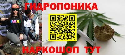 сатива Кинель