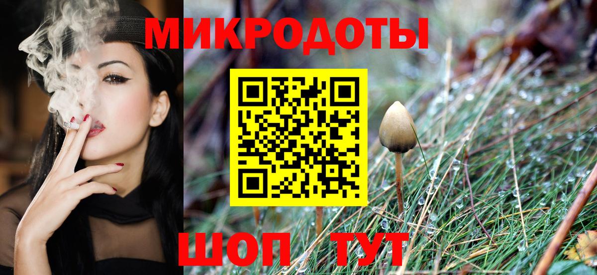 Карпинск  Галлюциногенные грибы ЛСД  Вход с VPN 