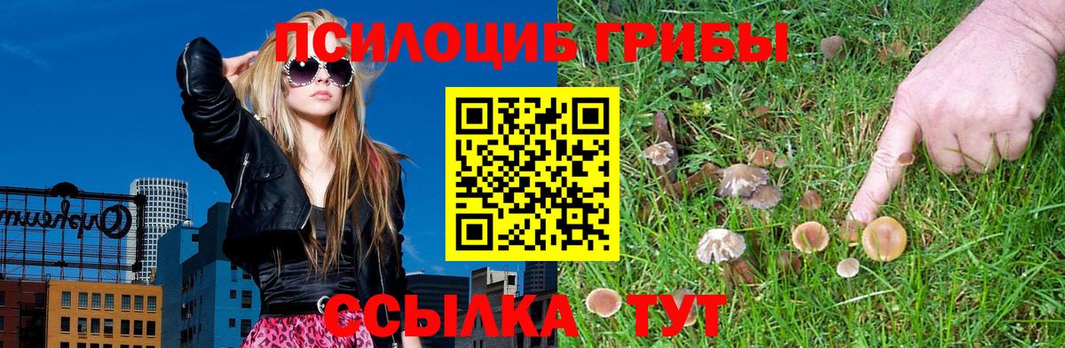 Псилоцибиновые грибы GOLDEN TEACHER  Карпинск 