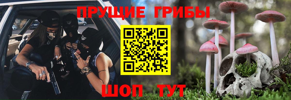 Псилоцибиновые грибы мицелий Карпинск