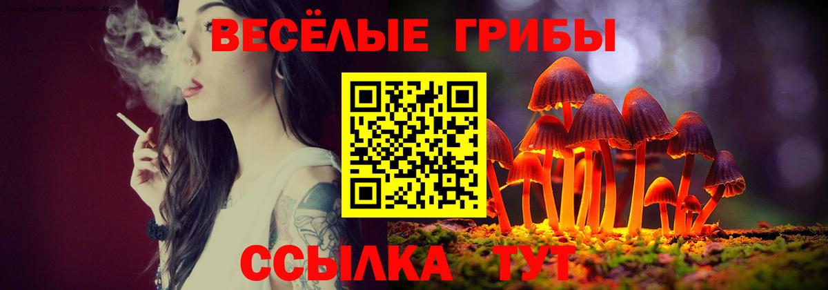 Псилоцибиновые грибы мухоморы Карпинск