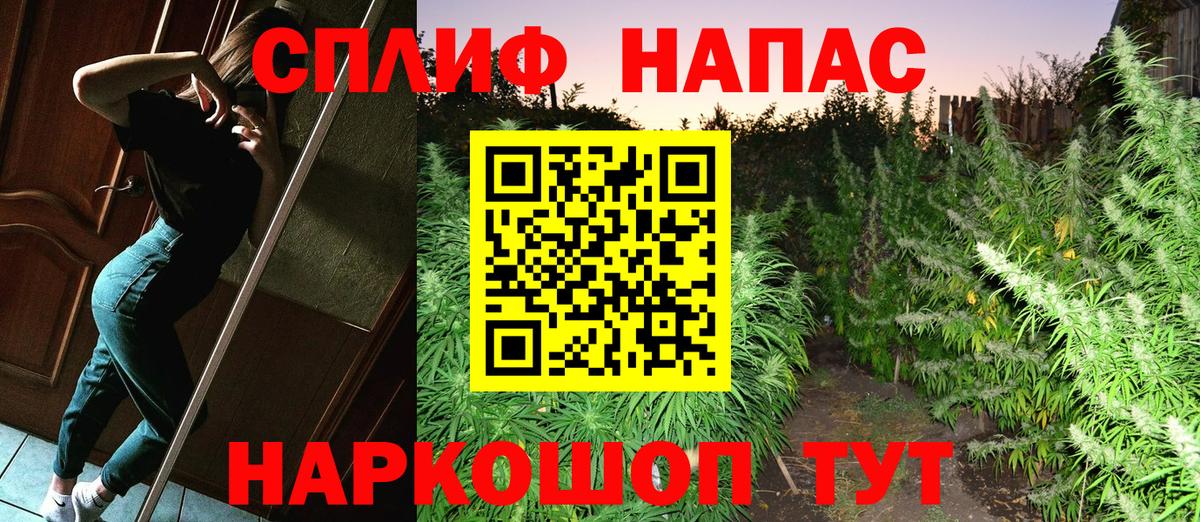 Канабис планчик  Бошки марихуана Ganja  Вход с VPN  Карпинск  Канабис сатива 